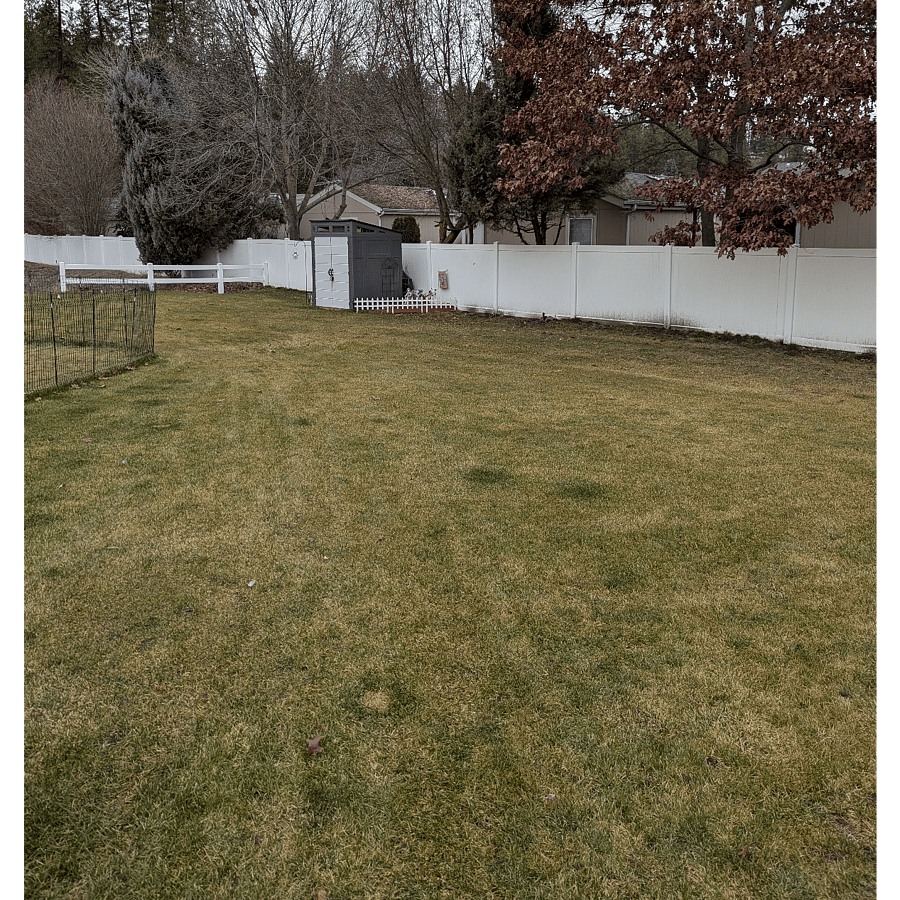 yard