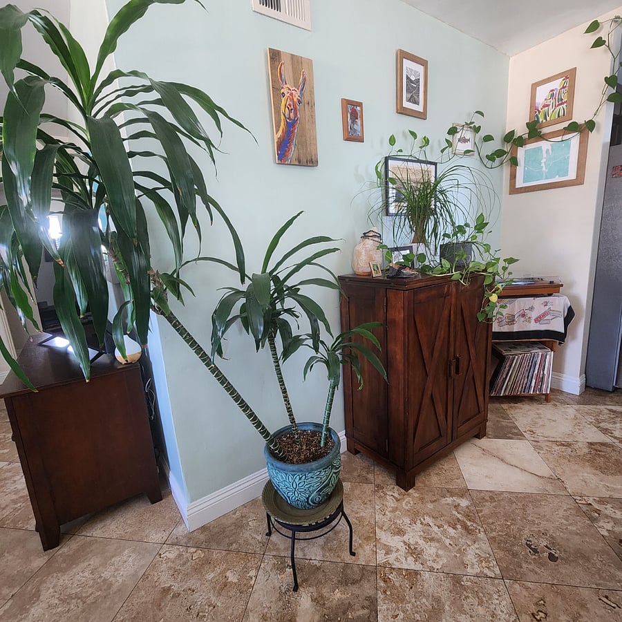 Furnished Finder property 814192_1 photo 3