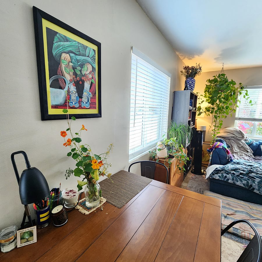 Colorful art and indoor plants create a joyful and serene environment. If you are not a plant person and do not wish to water them weekly, we can temporarily relocate the plants before your stay.