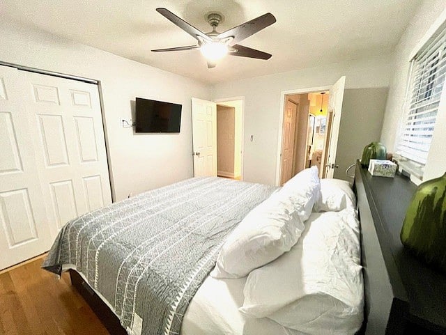 Furnished Finder property 814306_1 photo 9