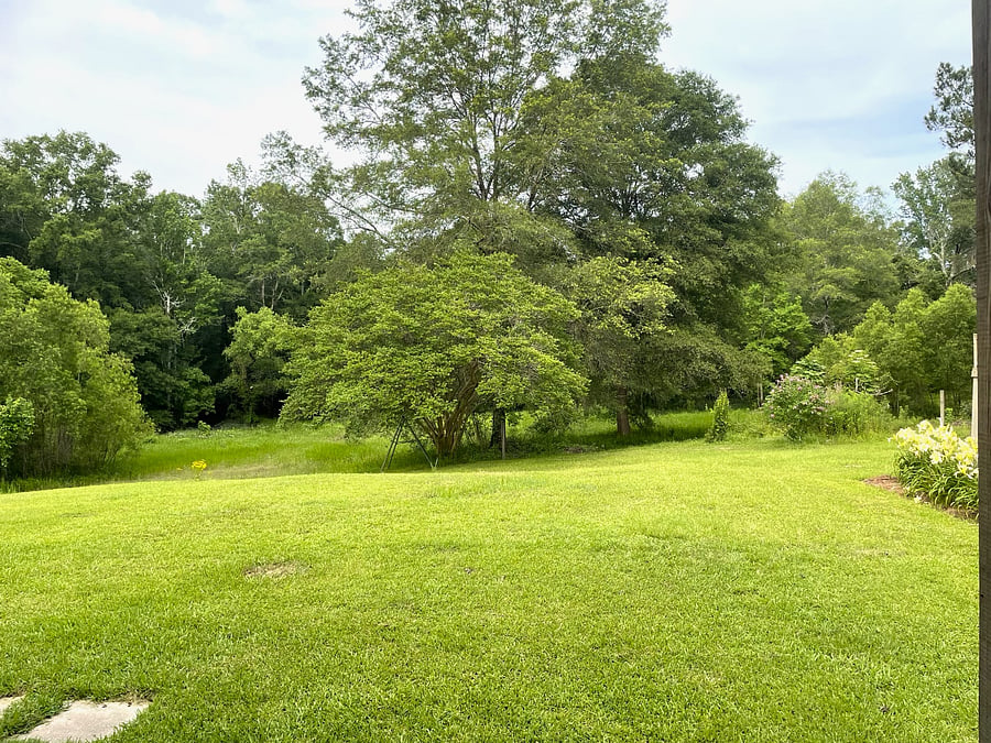 Furnished Finder property 814360_1 photo 22