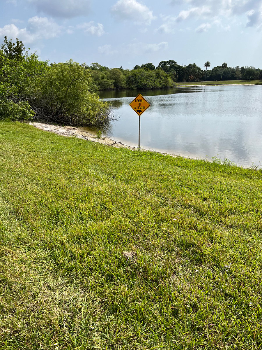 Furnished Finder property 814377_1 photo 15