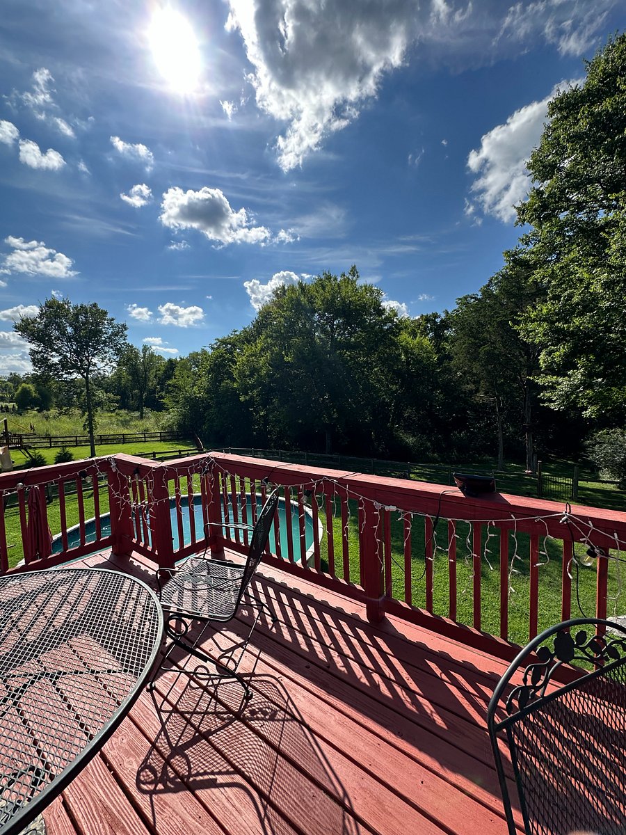 Furnished Finder property 814479_1 photo 20