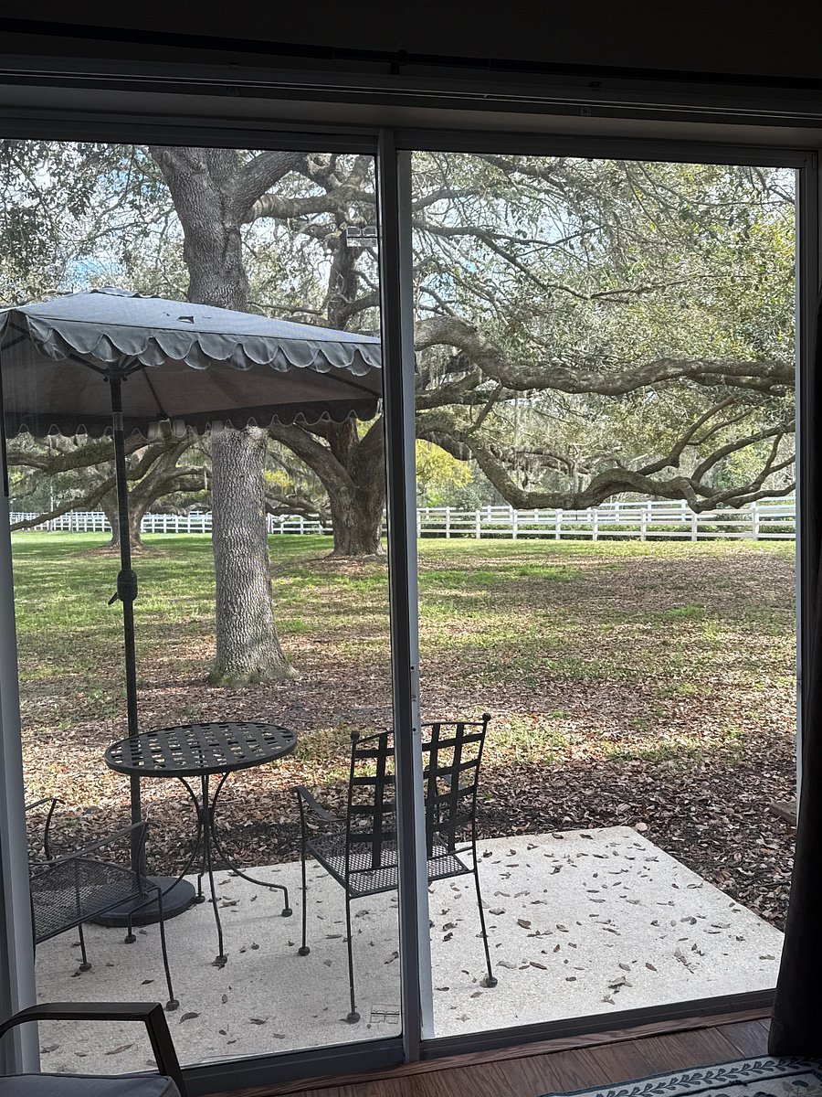 Back Patio and Common Area