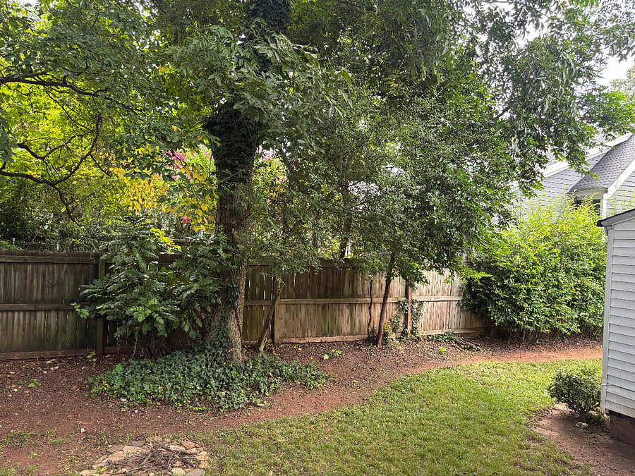 Furnished Finder property 814625_1 photo 18