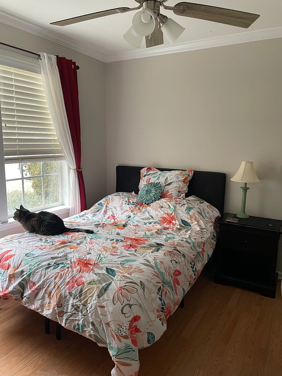 Furnished Finder property 814699_1 photo 3