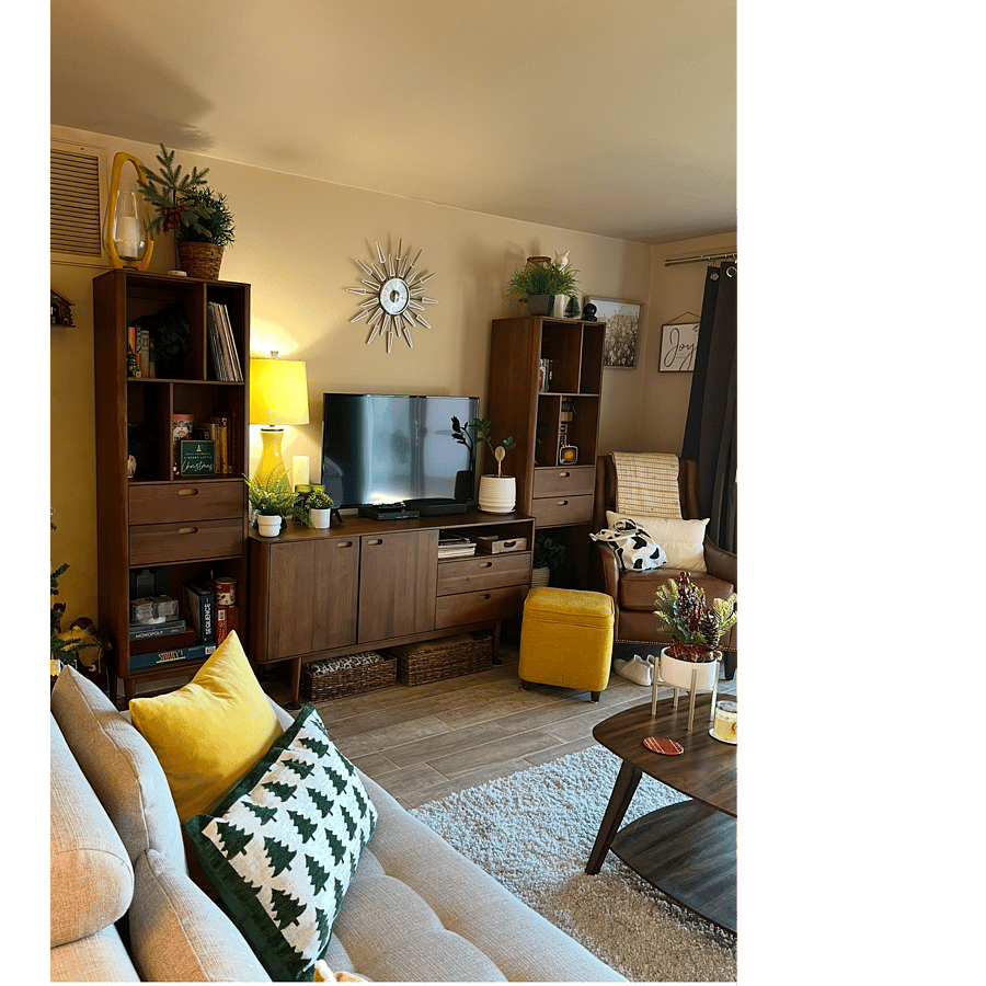 Living room entertainment center. Shelves are filled with games, cards, puzzles, books and a few DVD's. Throw blankets stored in baskets under the console.