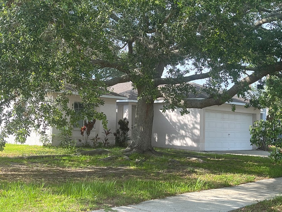 Furnished Finder property 814965_1 photo 6