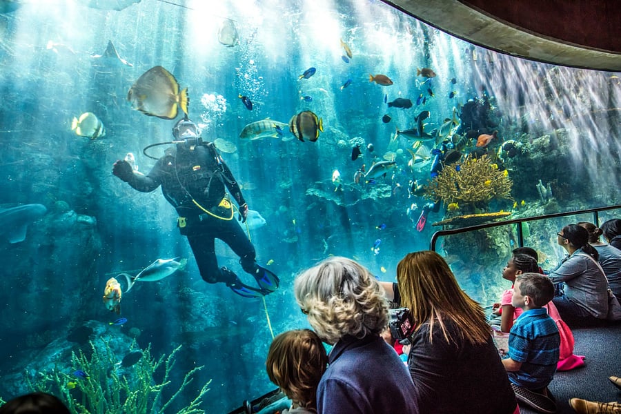 10 min drive to Aquarium of the Pacific!