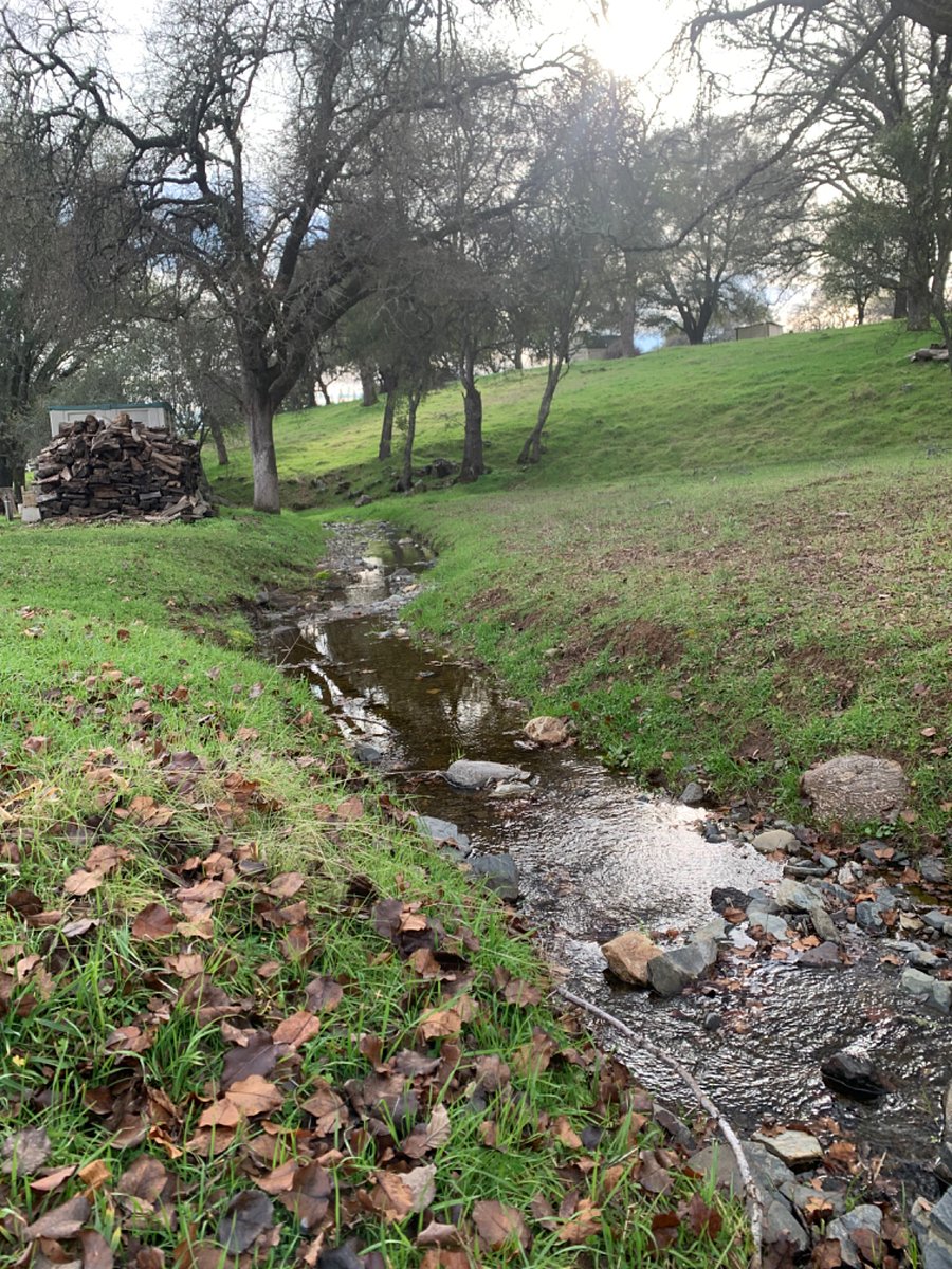 Seasonal Creek