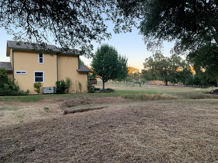 side view from other side of cree
