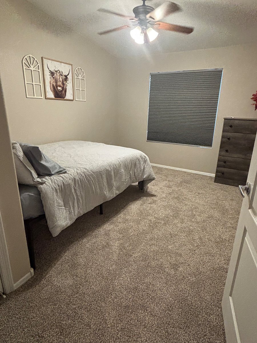 Furnished Finder property 815290_1 photo 18