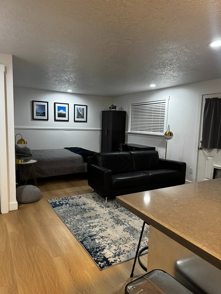 Queen Bed, with new sheets and comforter as well as night stand and lamp. Storage Closet in the corner with two doors that open, room for both hanging and drawer for other items.
