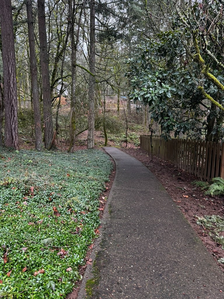 One of the many walking trails in the neighborhood, all in the tree'd area.