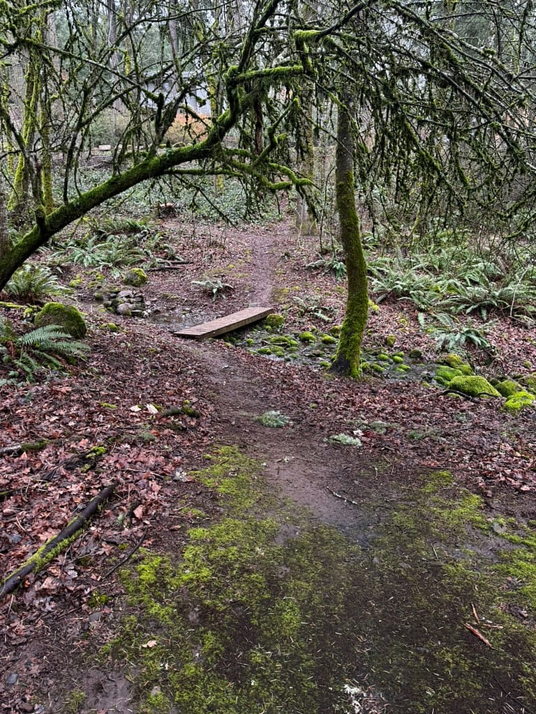 One of the natural walking trails that is just across from the studio.