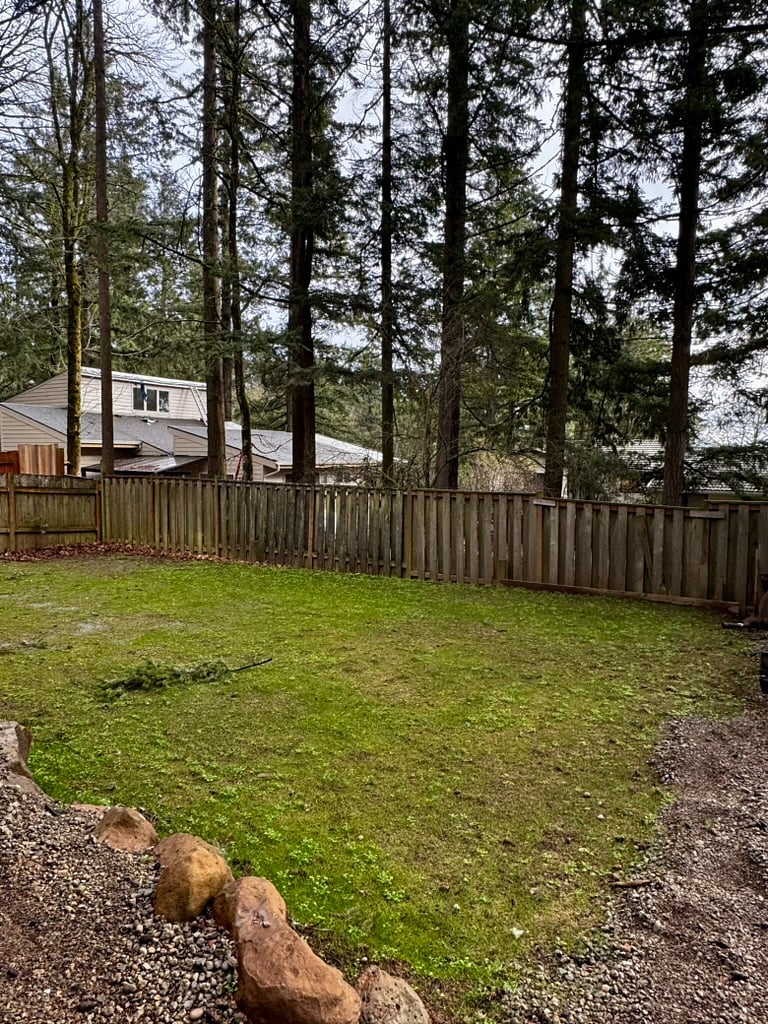This is the back yard and your view outside your window off the bedroom as well as bathroom window.