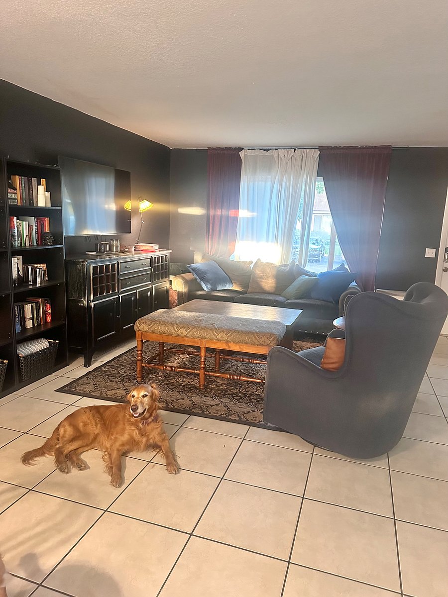 Furnished Finder property 815384_1 photo 5