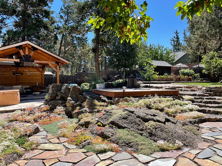 Backyard in summer