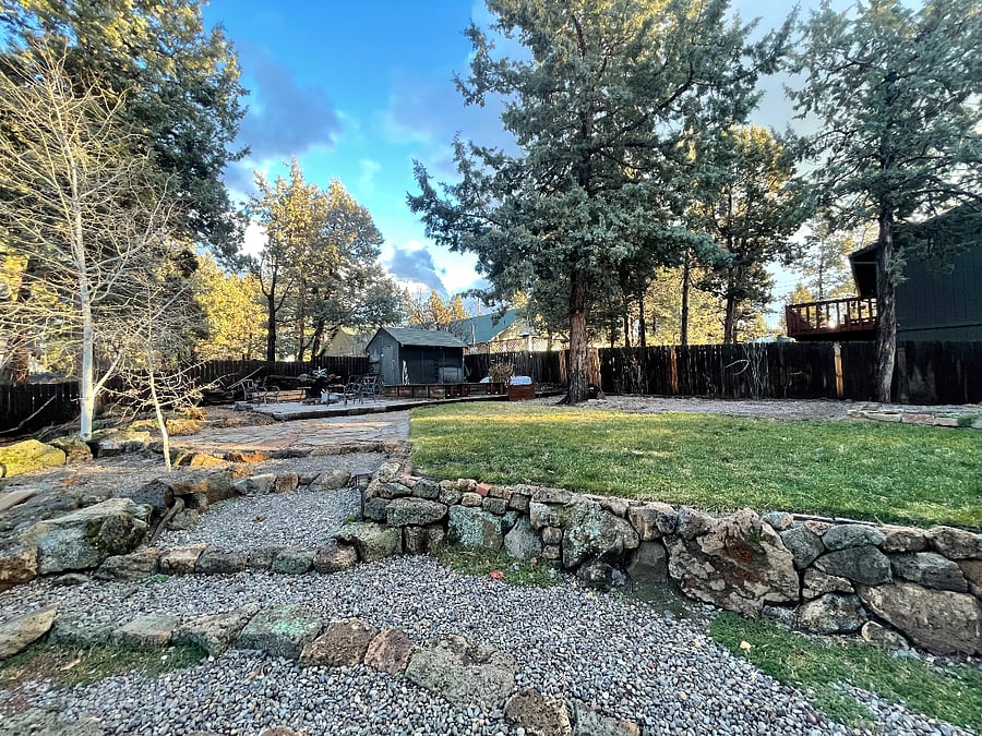Backyard in fall/winter