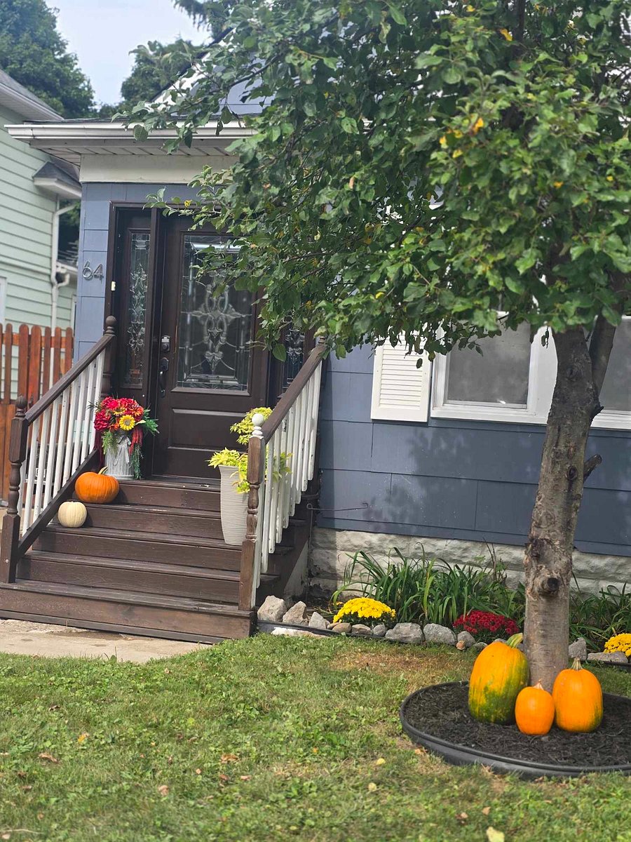 Front yard
