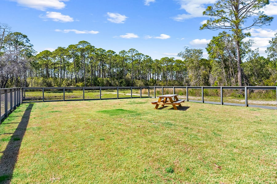 Furnished Finder property 815511_1 photo 35
