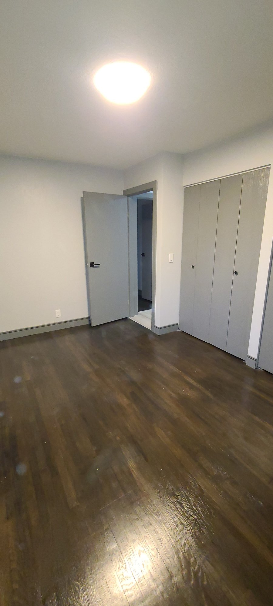 Furnished Finder property 815717_1 photo 6