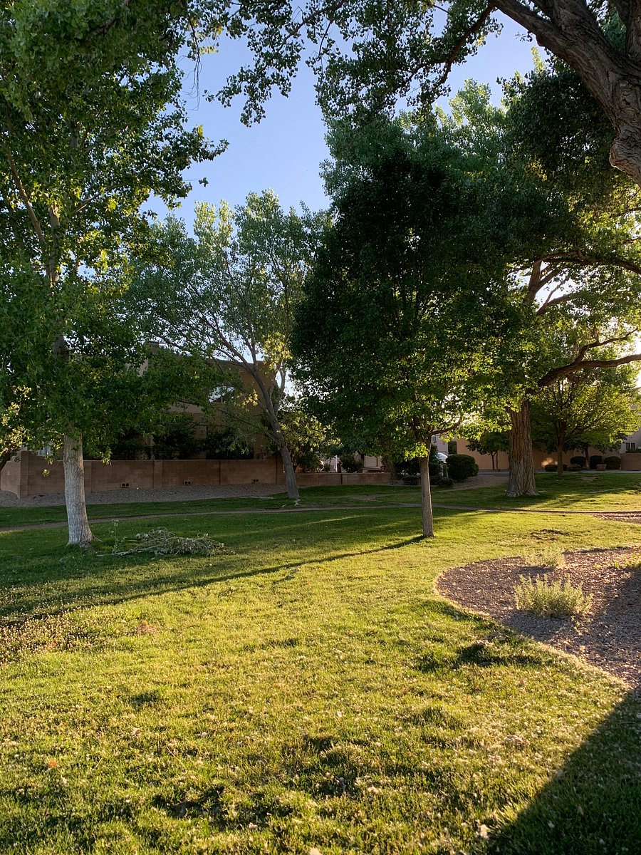 Furnished Finder property 815865_1 photo 26