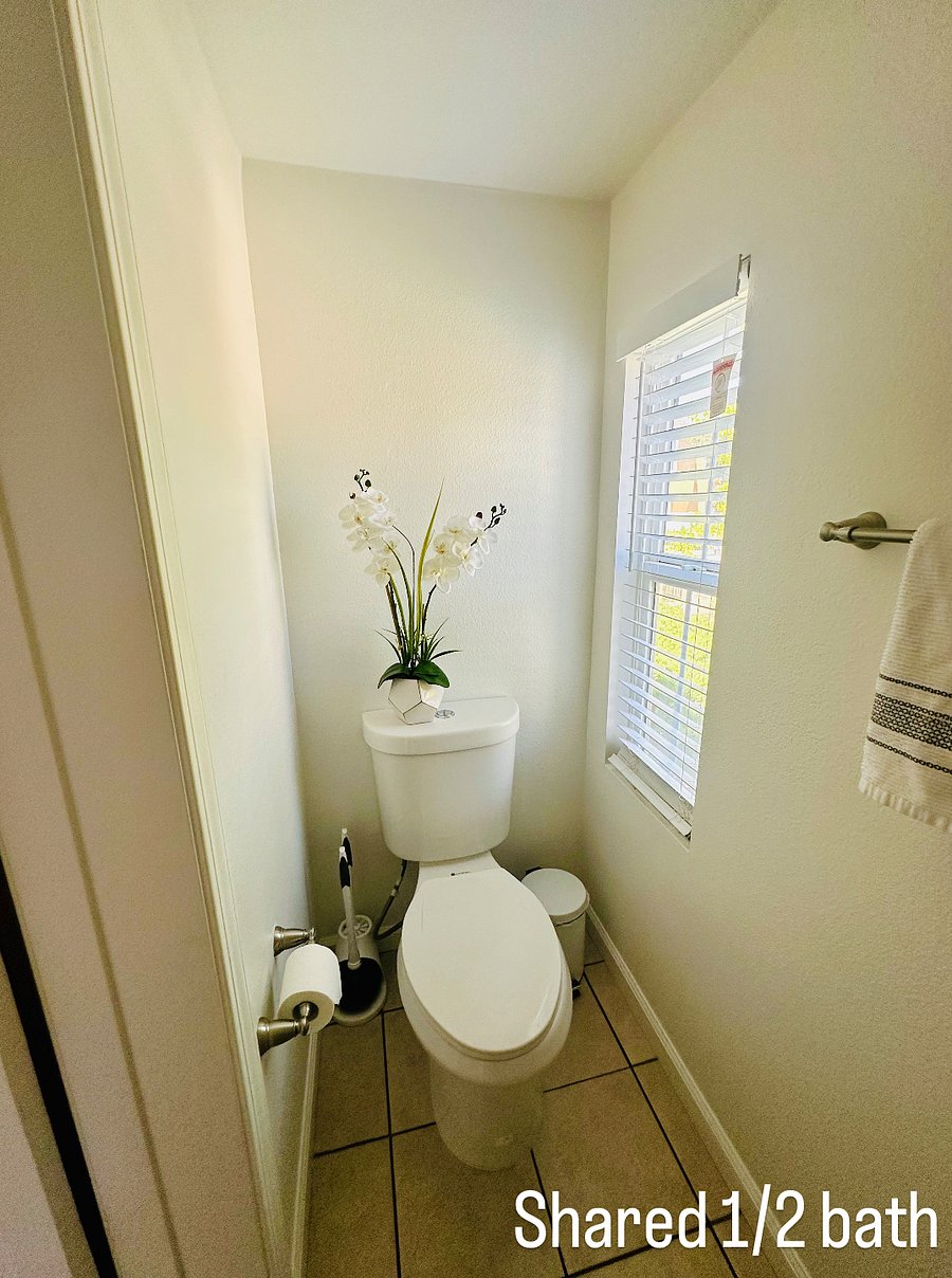 Furnished Finder property 815886_1 photo 6
