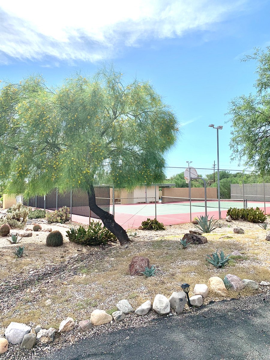 Furnished Finder property 815890_1 photo 14
