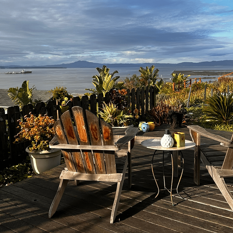Back deck view