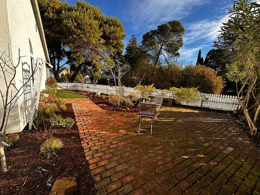 Side yard 