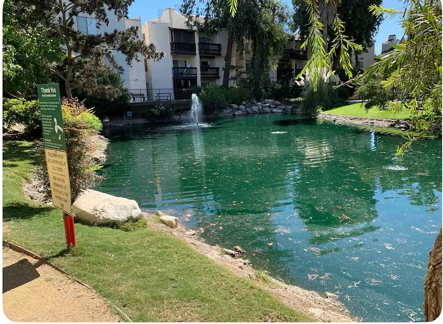 Small pond with walking trail and wildlife inside the gated complex. 