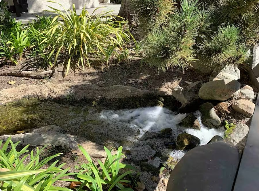 Peaceful streams run throughout the property. 