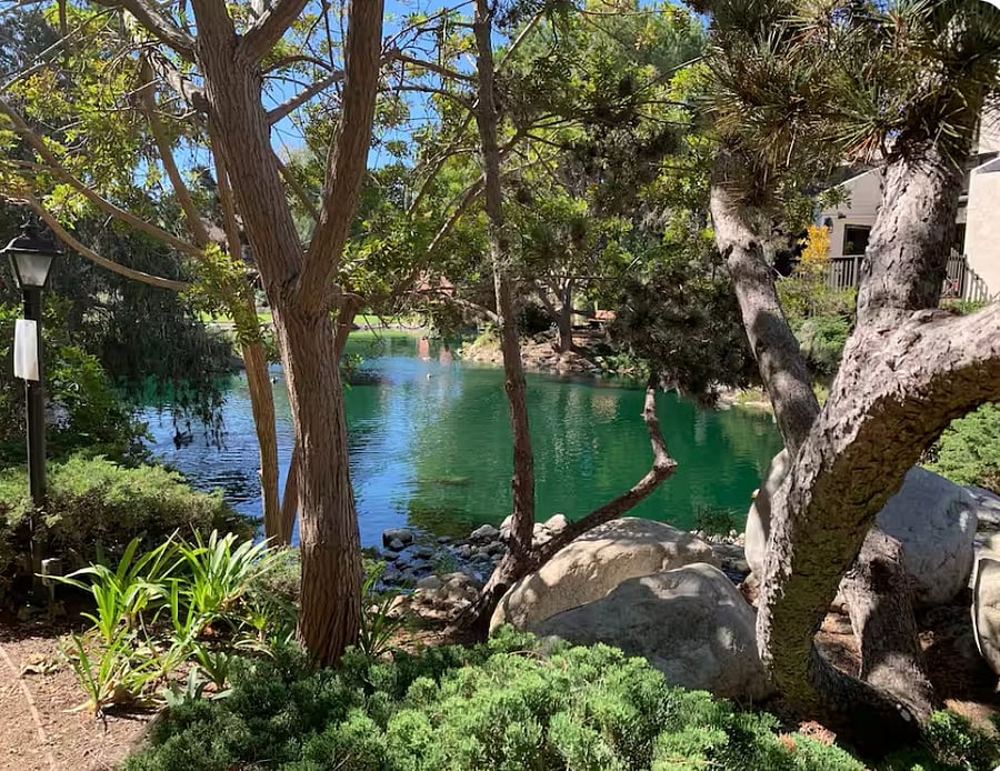Lots of trees and walking paths in secure, private, gated community. 