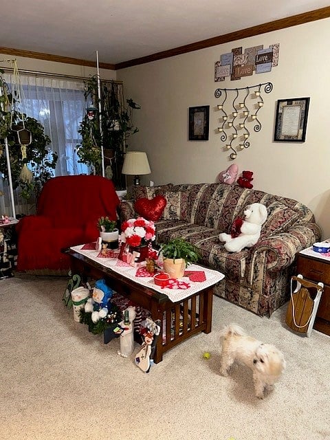 Furnished Finder property 816092_1 photo 9