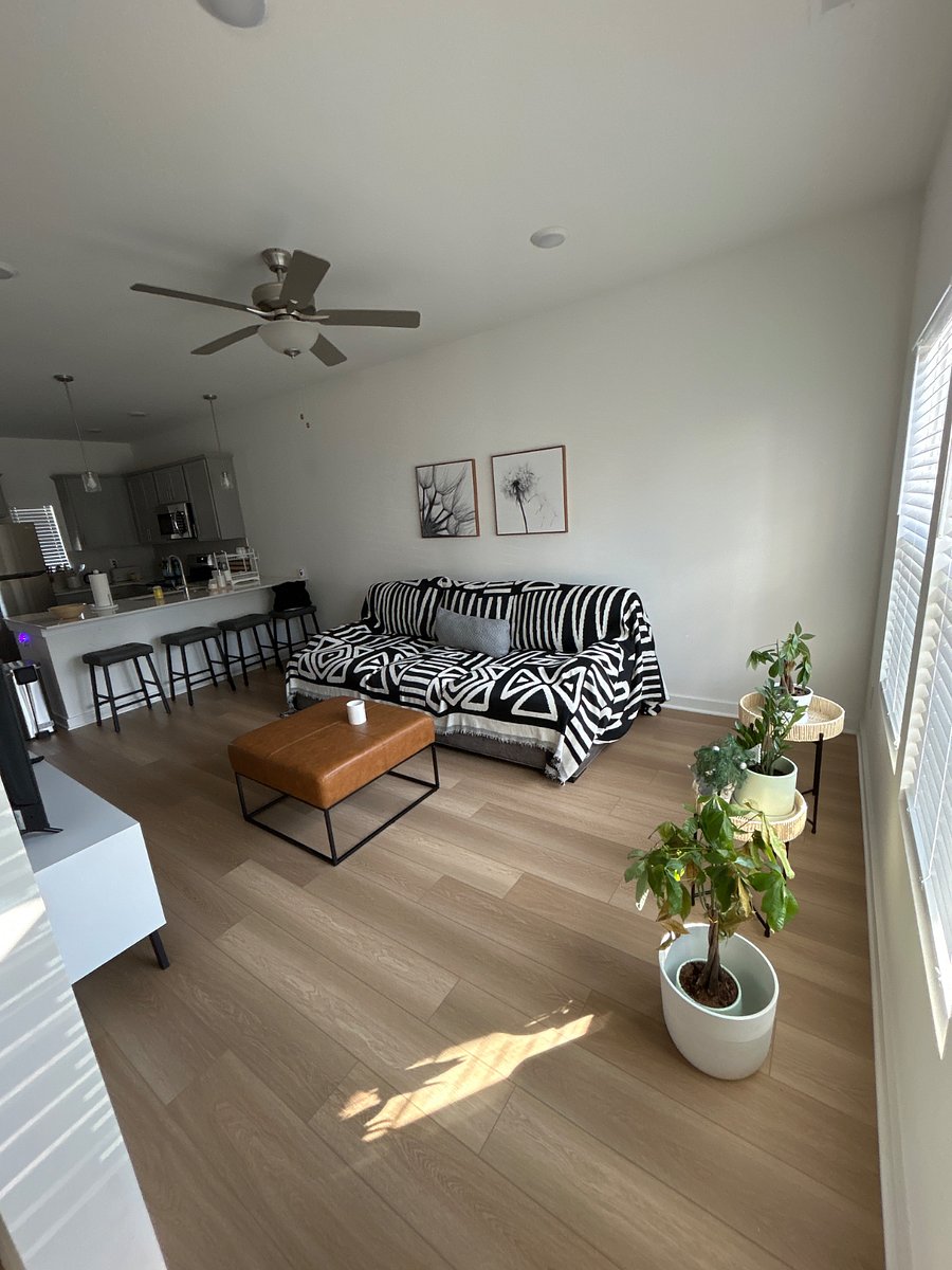 Furnished Finder property 816182_1 photo 7