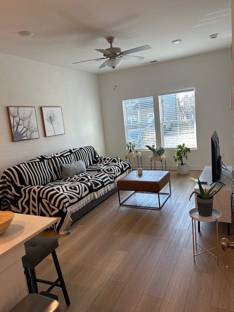 Furnished Finder property 816182_1 photo 8