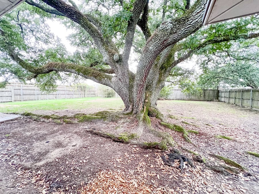 Furnished Finder property 816194_1 photo 10