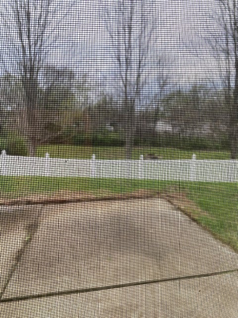 Furnished Finder property 816351_1 photo 14