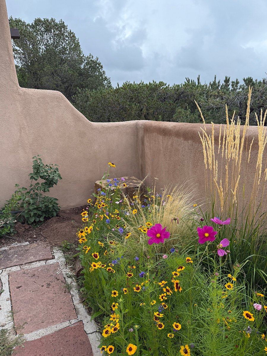 Furnished Finder property 816519_1 photo 11