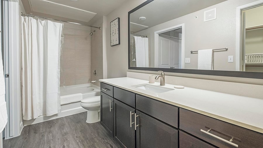 Furnished Finder property 816555_17 photo 11