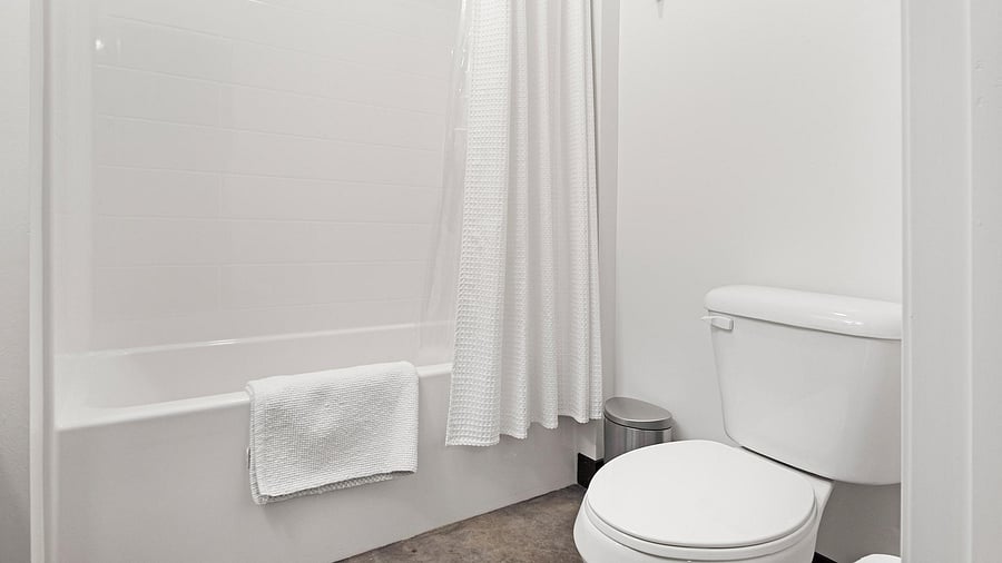 Furnished Finder property 816556_6 photo 15