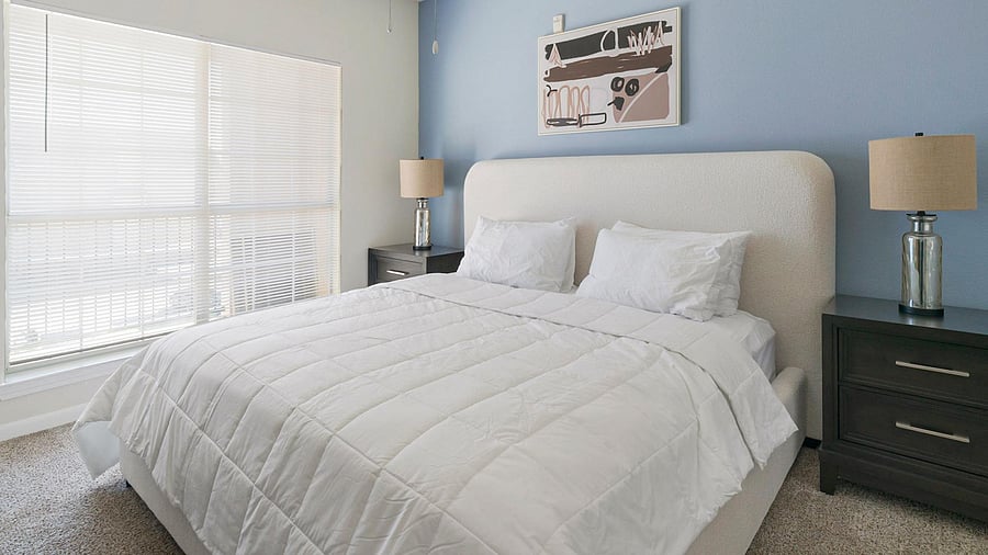 Furnished Finder property 816557_22 photo 11