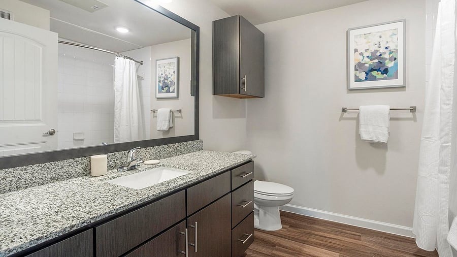 Furnished Finder property 816566_1 photo 13