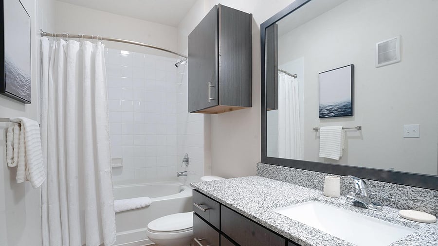 Furnished Finder property 816566_10 photo 13