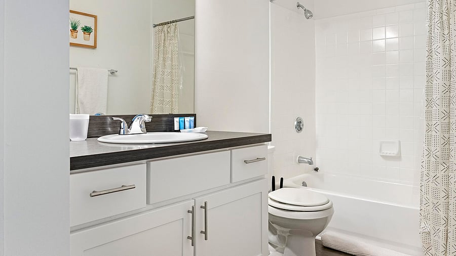 Furnished Finder property 816587_12 photo 17