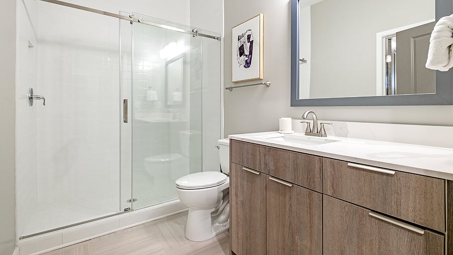 Furnished Finder property 816594_19 photo 14