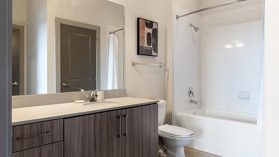 Furnished Finder property 816601_2 photo 14