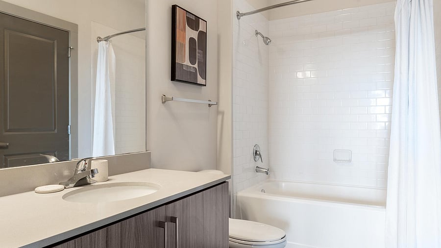 Furnished Finder property 816601_2 photo 15