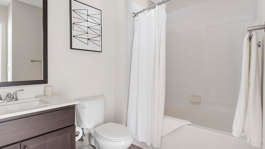 Furnished Finder property 816602_14 photo 15